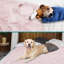 PET - B3022C Nylon rafraîchissant-95187682-95187681