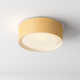 Jessalyn Single Light LED Flush Mount