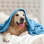Reversible Mink Faux Plush Fur Fleece Blanket-2118621922-2112998611