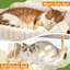 Perchoir pour chat pour chats de fenêtre Hamac Lit d'intérieur pour fenêtre Cadre en bois réglable Oiseau en train de bronzer