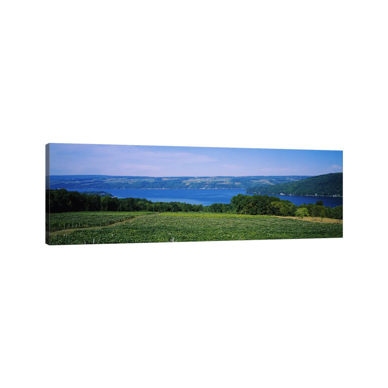Paysage de vignoble, lac Keuka, Finger Lakes, New York, États-Unis - Giclée sur toile tendue avec châssis, H 24 po x l 72 po