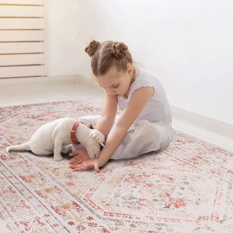 Beige Washable Area Rug, Rectangle 3' x 5'