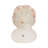 Polyresin Face Planter - Enrich Your Space With Greenery