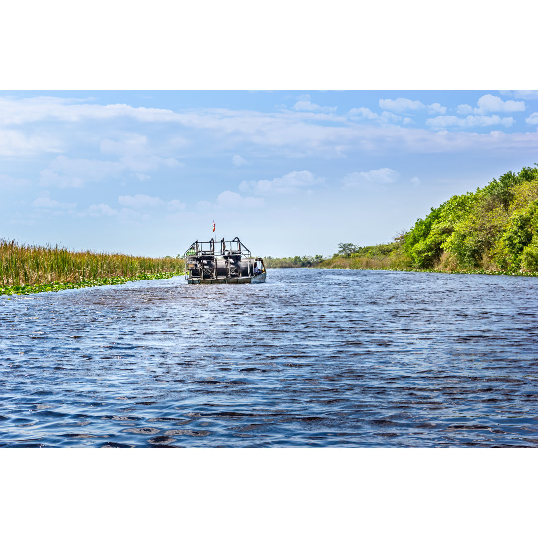 Everglades Of Florida