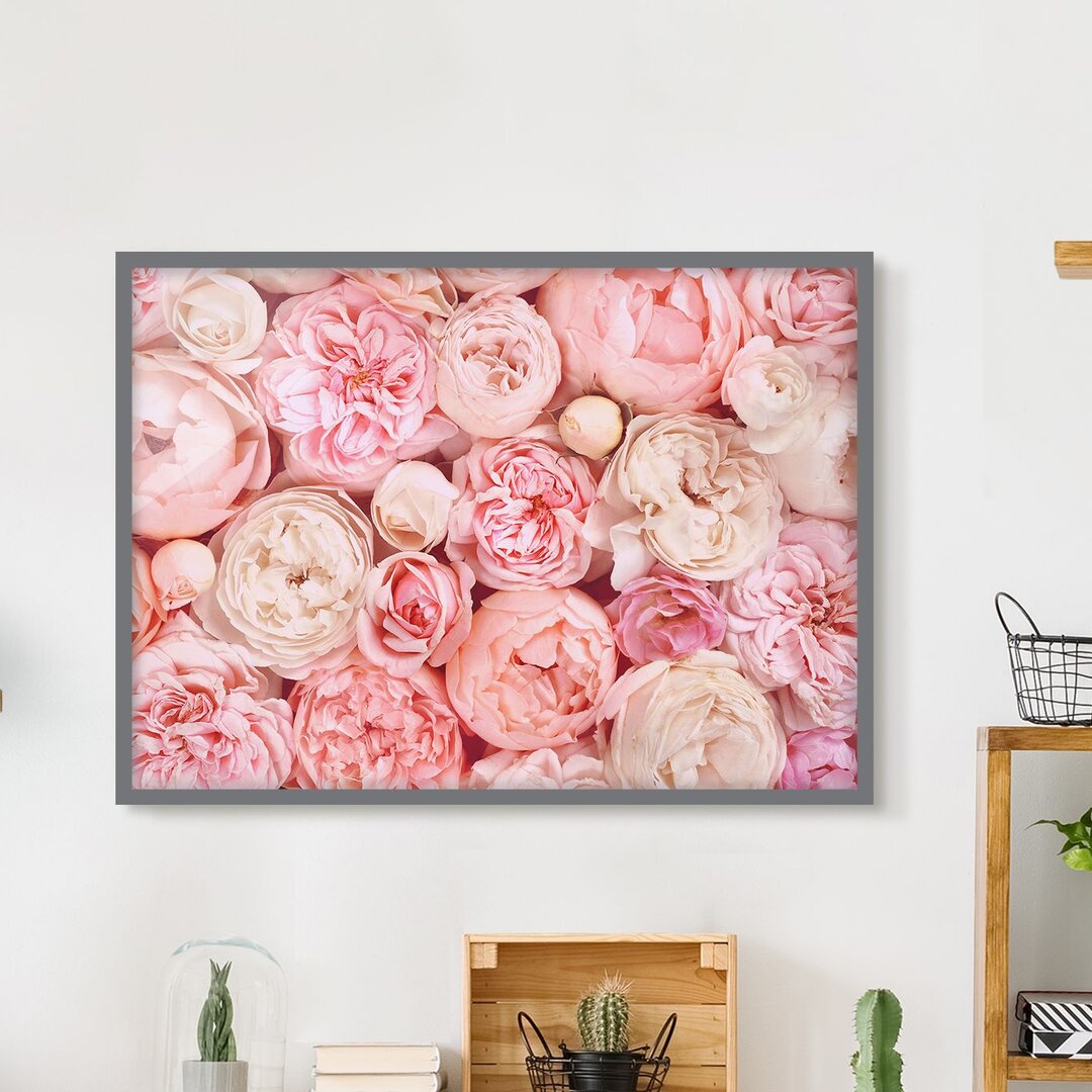 Gerahmter Grafikdruck Roses Coral Shabby