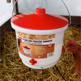Plastic Waterer