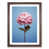 Walnut Framed