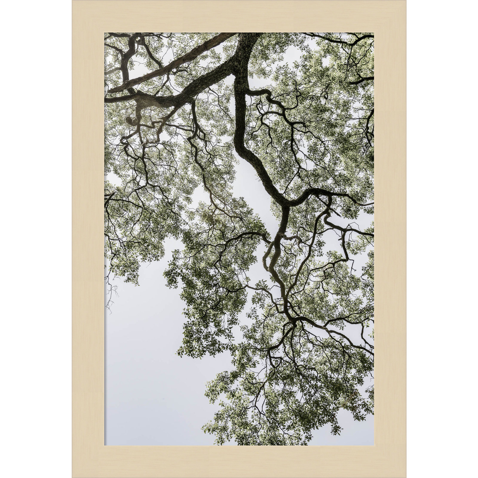 Pleasantville "Coastal Forest" Print, Brown, 13" H x 9" W