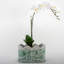 Handmade Ceramic Planter