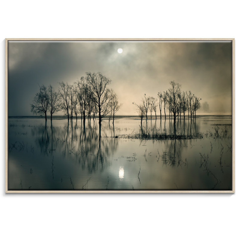 Print on Canvas, 51cm H x 76cm W, Timber Floater Framed