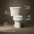 Wellworth 1.28 GPF Water Efficient Round Two-Piece toilet (Seat Not Included)-10980016-101431273