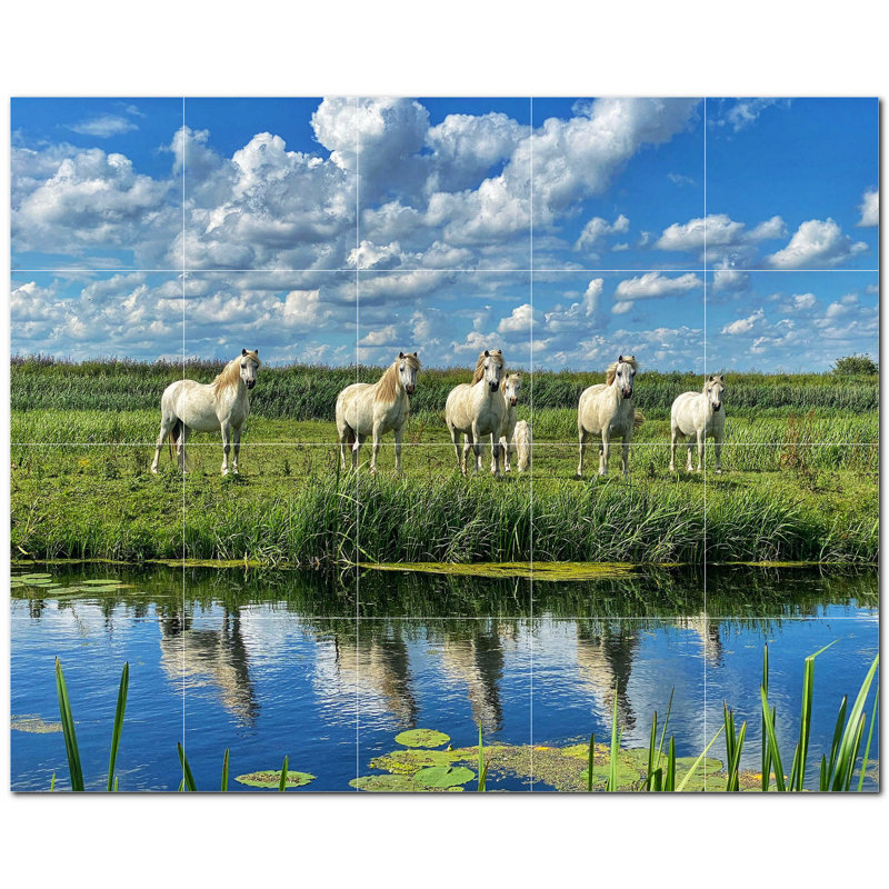 Photo de cheval 8 x 8