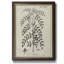 Antique Black & White Botanical IX - Peinture sur toile encadrée-413412649