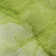 Premium Machine Washable Cerrito AMF507 Green Rug