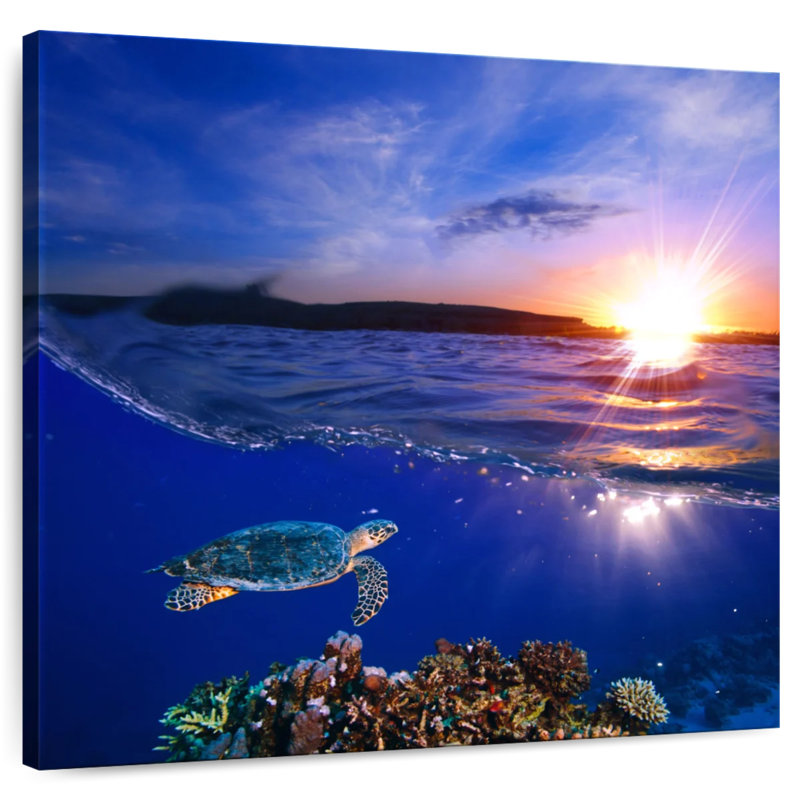Tortue de mer au coucher du soleil Alvord, H 10 po x l 10 po