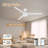 3-Blade Smart Indoor/Outdoor Ceiling Fan with LED Light, Remote and WiFi/Alexa Control, Quiet DC Motor, Dimmable, Reversible Blades-112578526-112578525