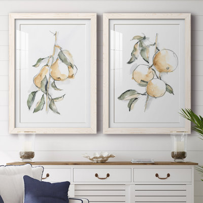 «Watercolor Fruit Contour I», reproduction encadrée de qualité supérieure - prête à être accrochée