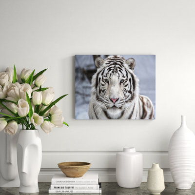 Tigre blanc aperçu - photographie non encadrée