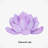 " Echeveria Laui I "-1786380826