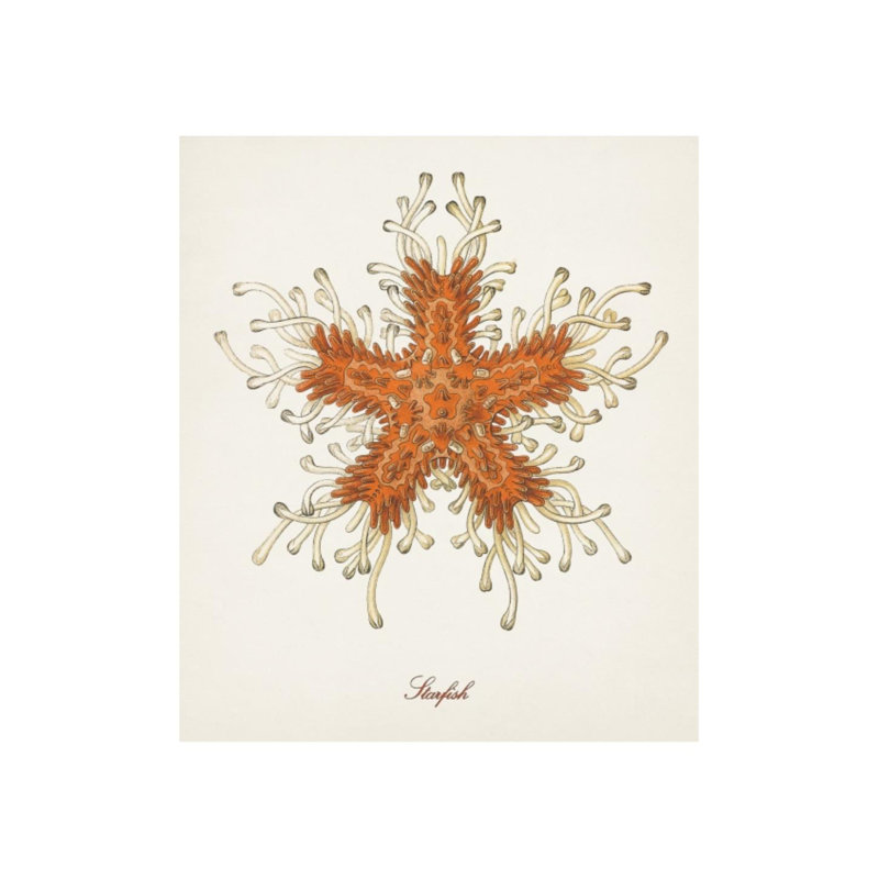 «Nautical Art III» par Sofia Fox - impression sur toile, H 35 po x l 30 po x P 1,5 po, Mat