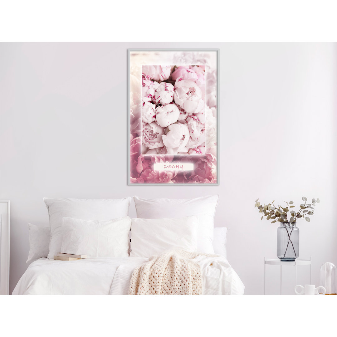 Gerahmtes Poster Scent Of Peonies