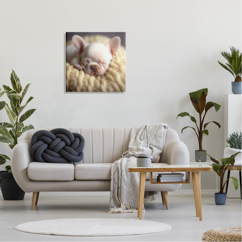 " Tiny Puppy Sleeping " by Roozbeh, 24" H x 24" W x 1.5" D