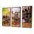 Encadrement brun