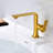 Varen Single Hole Single-Handle Bathroom Faucet with drain-107265031
