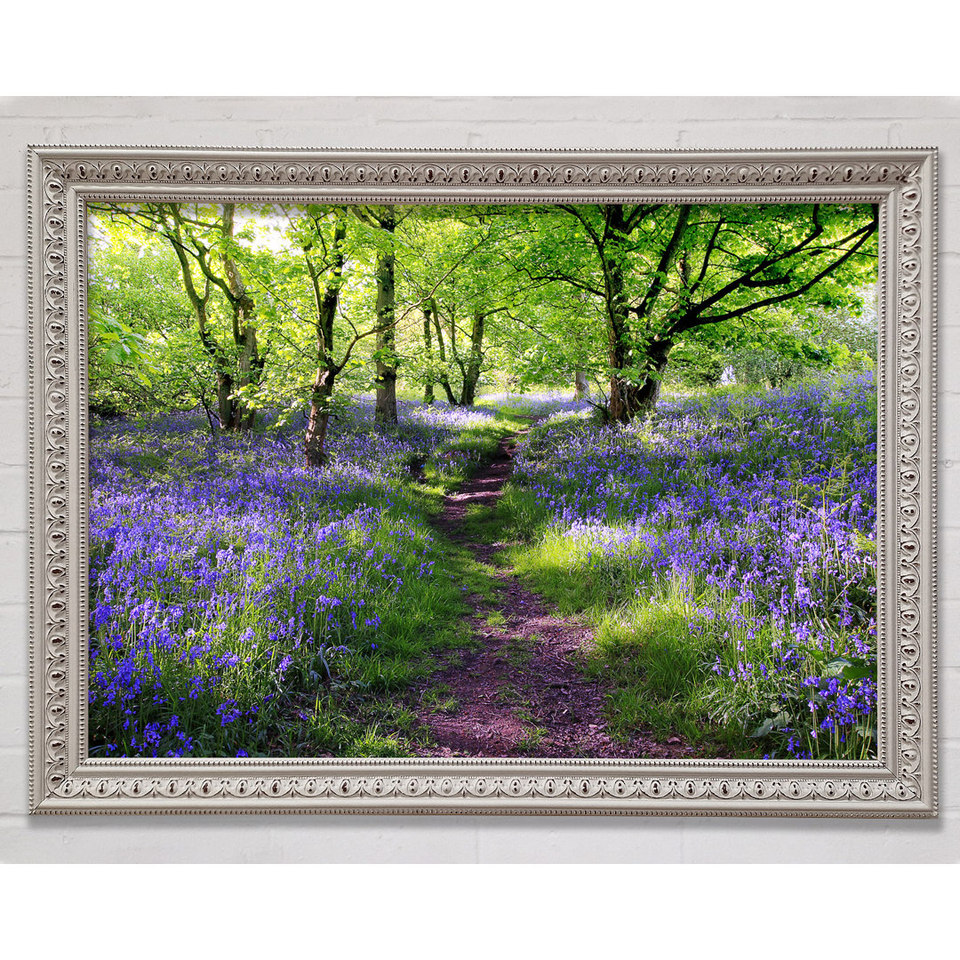 Path Through The Bluebells - Einzelne Bilderrahmen Kunstdrucke