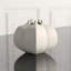Star Fruit Vase-11372810