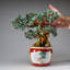 Genuine Green Aventurine Gemstone Bonsai Tree in Round Ceramic Pot (11")