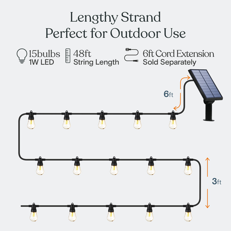 Ambience Pro 48 ft. Solar Outdoor Patio LED String Lights with 15 Warm White S14 Edison Bulbs, Weatherproof