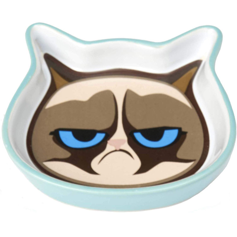 Bol facial pour chat grumpy, Bleu