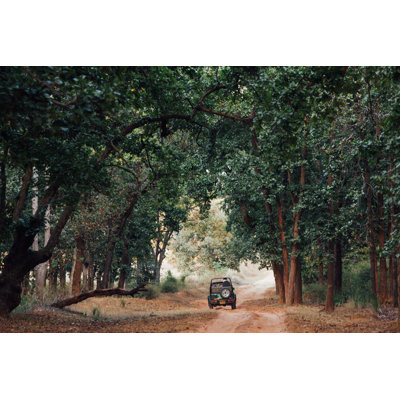 Safari Vehicle in the Forest by Fabian Gysel