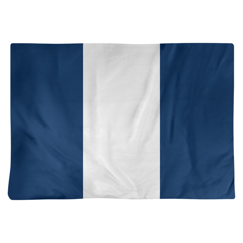 Récapitulatif 18" basket Washington, Bleu marine / blanc / bleu marine, Polyester