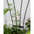 Goldenberg Steel Fan Trellis-2119221595