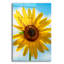 "Garde debout" par Pamela Plummer-101627363