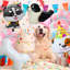 Dog Party Supplies,7pcs Dog Birthday Foil Balloons Set