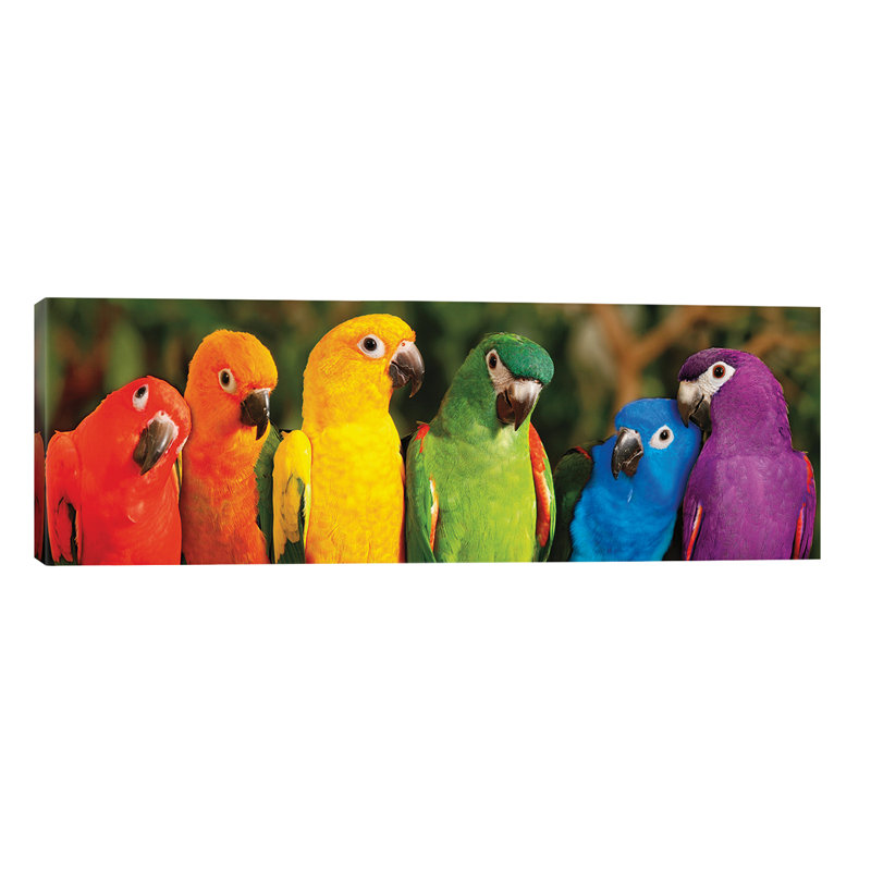 Rainbow Parrots by Mike Jones - Wrapped Canvas Panoramic Print, 182.88 cm H x 60.96 cm W