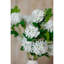 Snowball Viburnum Spray-111171165