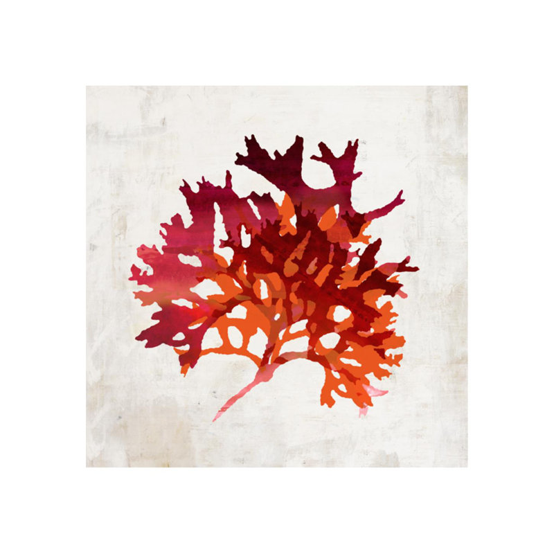 «Pomegranate Coral III» par Sofia Fox - impression, H 36 po x l 36 po x P 1,5 po, Plexi