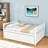 Marlar 3 Drawers Wooden Daybed with Trundle-1905801549-1905801548
