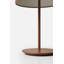 Pin Lamp-1426218558
