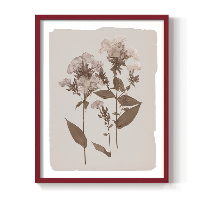 Monochrome Botanical II Framed Print - Solid Wood, 15" H x 12" W, Red
