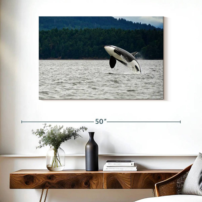 Crowle Orca Jumping, 26" H x 39" W