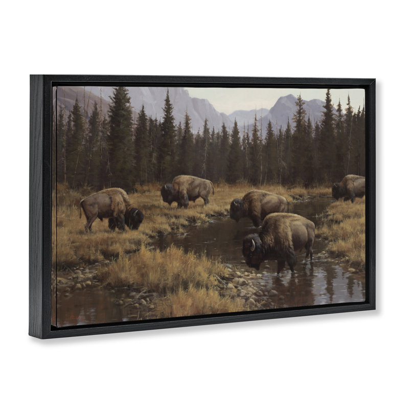 «Wild Bison Grazing at Stream», art mural sur toile flottant gris, design par Paco Young, H 17 po x l 25 po