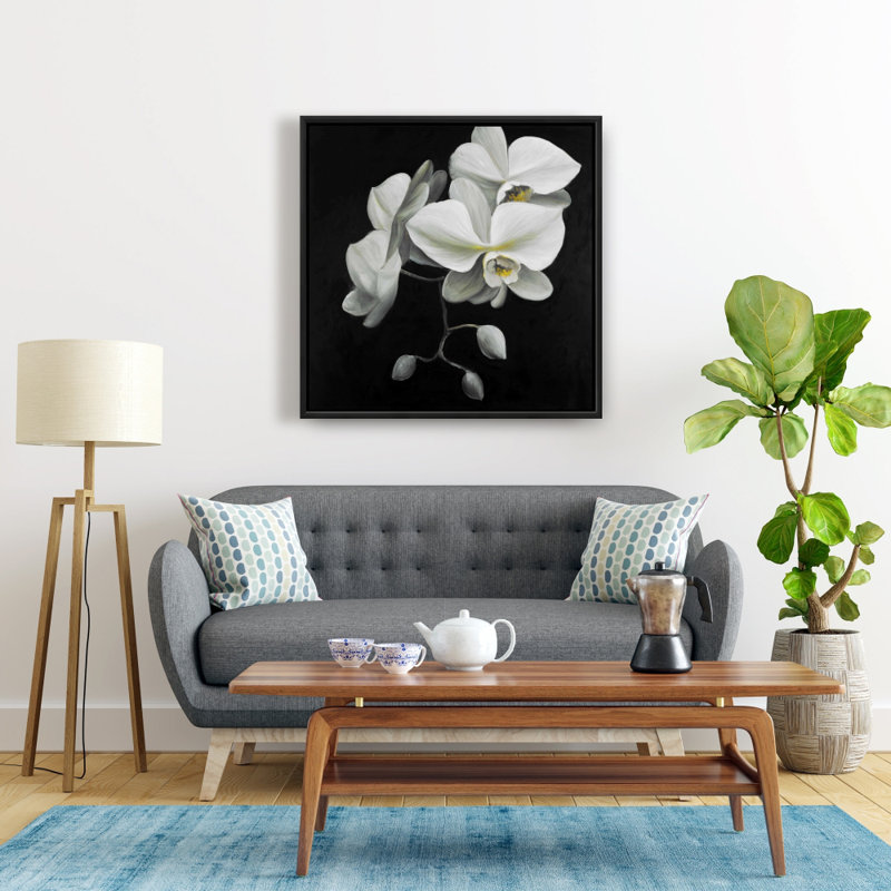 "Orchidées blanches"