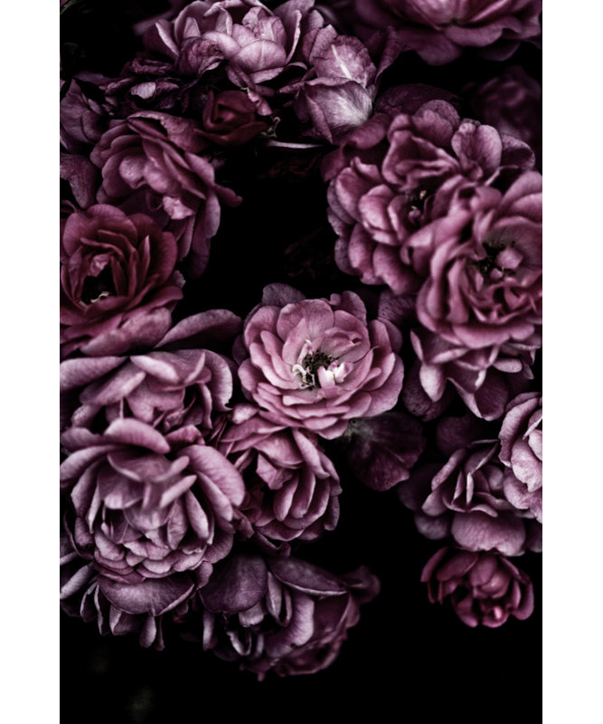 Wrapped Canvas Print, 76.2 cm H x 50.8 cm W