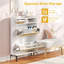 Allyssah 8 Pair Shoe Storage Cabinet
