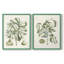 Reproduction encadrée de qualité supérieure Buchoz Tropicals IX - prête à être accrochée-1856808750-1856808751